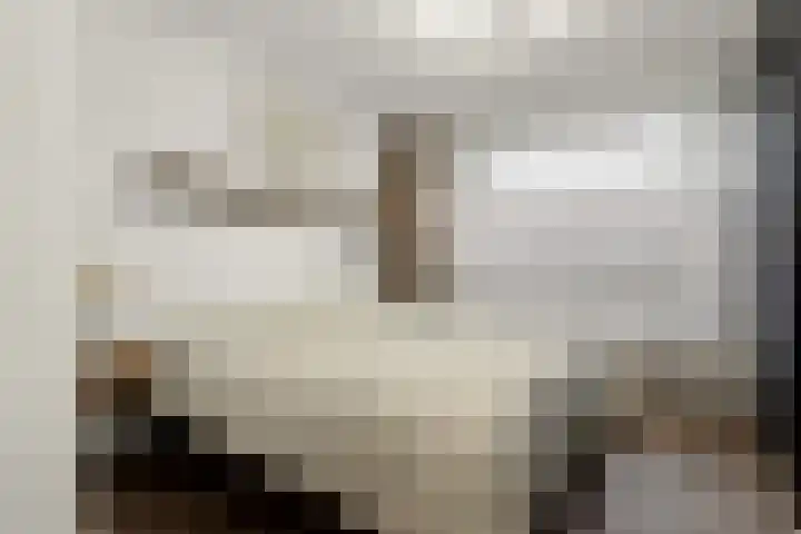 Saffierhorst 20 Den Haag thumbnail 14
