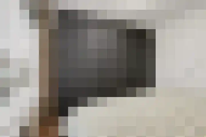 Saffierhorst 20 Den Haag thumbnail 15