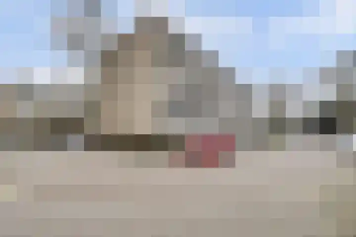Saffierhorst 20 Den Haag thumbnail 25