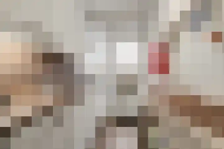 Saffierhorst 20 Den Haag thumbnail 9