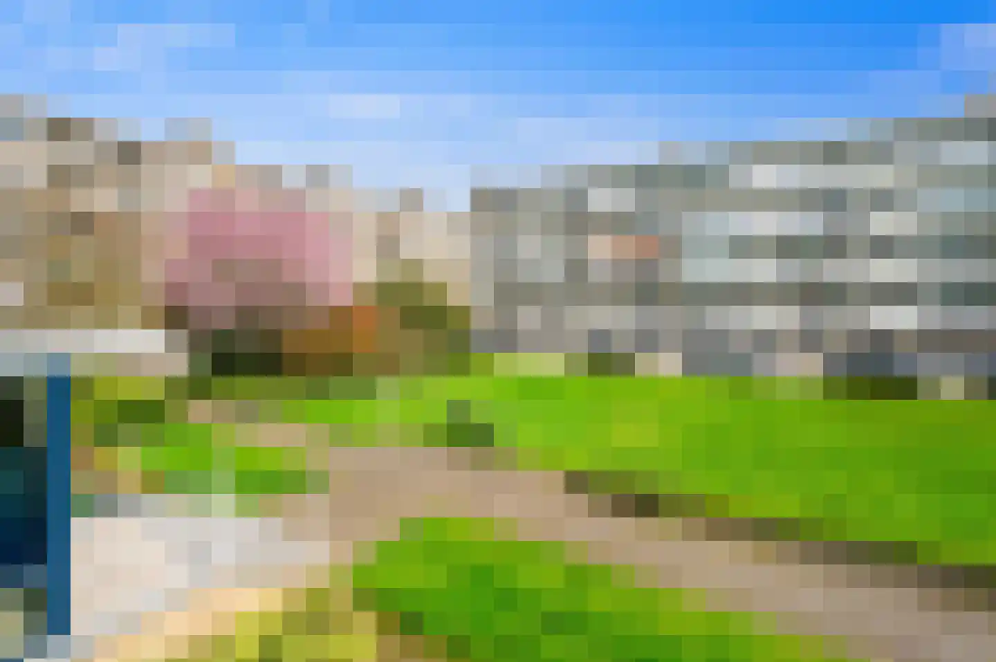 Saffierhorst 200 Den Haag thumbnail 26