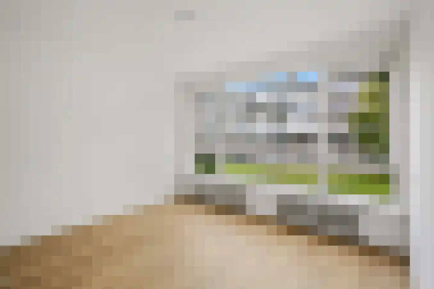 Saffierhorst 254 Den Haag thumbnail 25