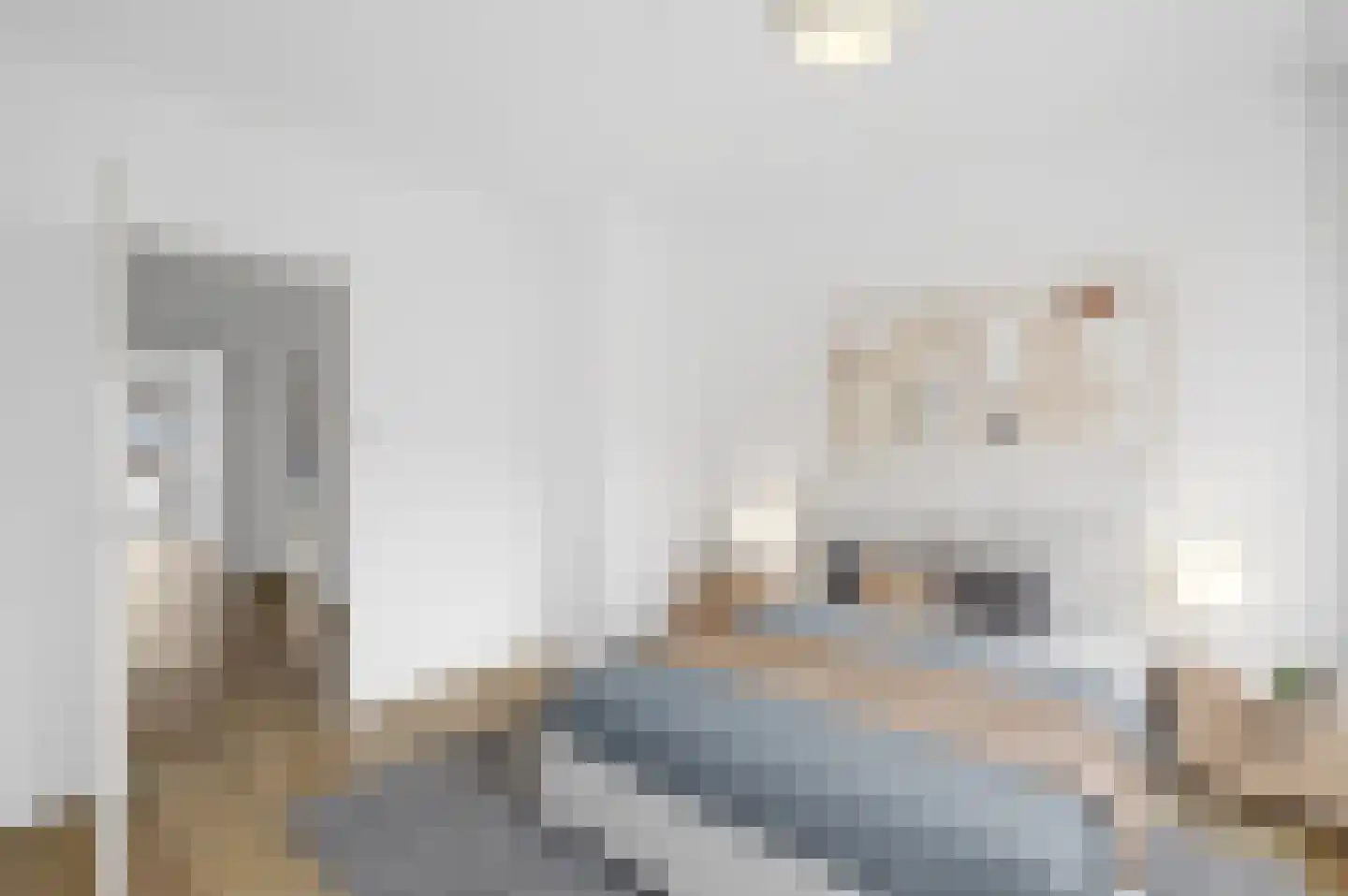 Saffierhorst 254 Den Haag thumbnail 32