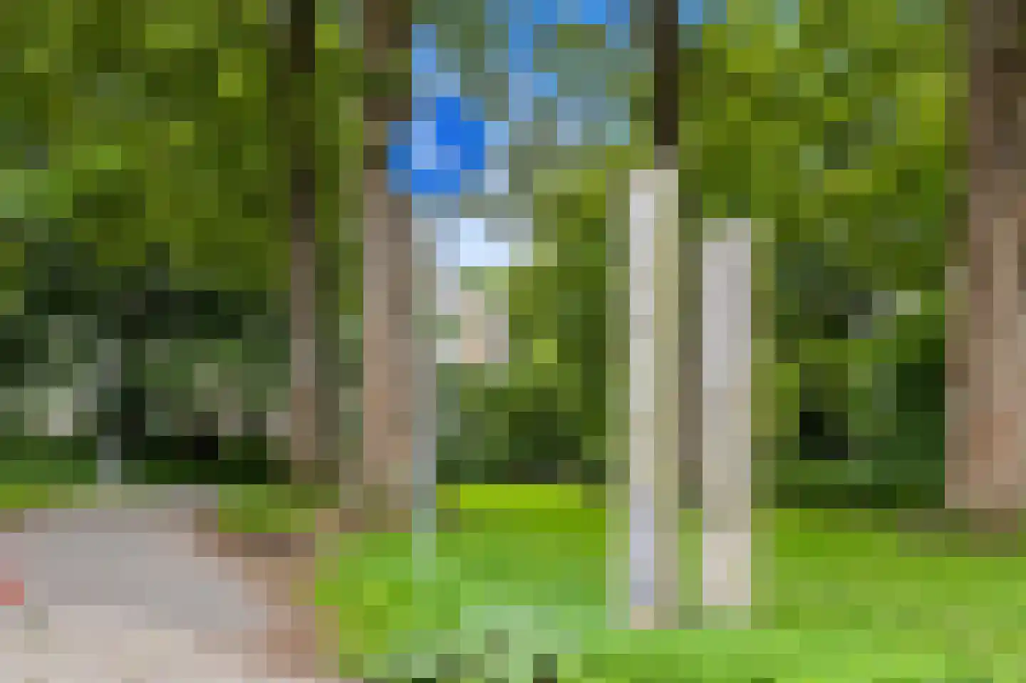Saffierhorst 254 Den Haag thumbnail 39