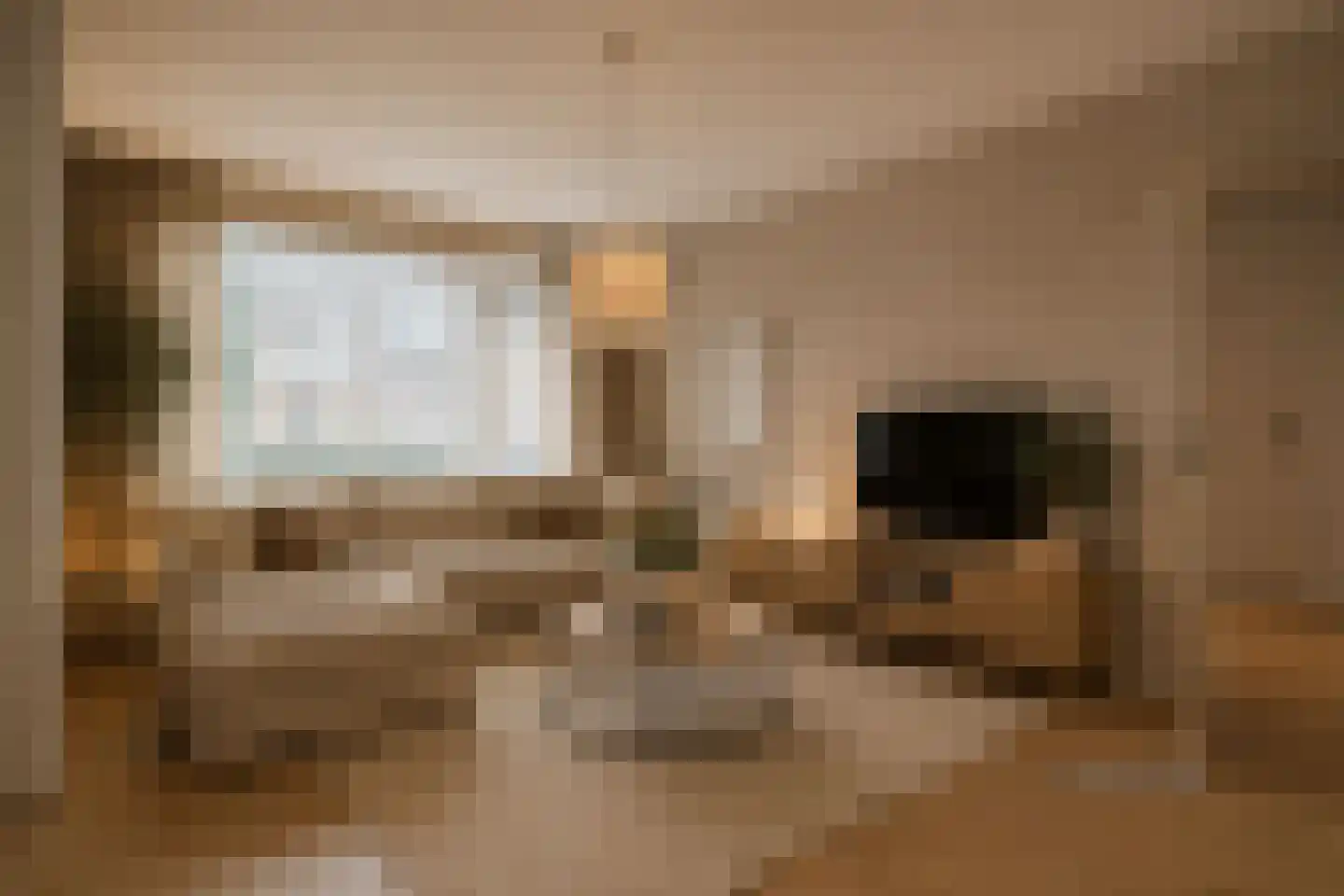 Saffierhorst 254 Den Haag thumbnail 5