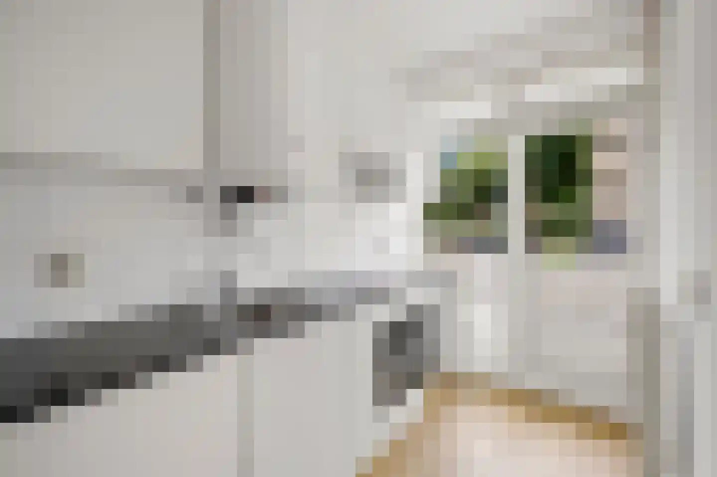 Saffierhorst 254 Den Haag thumbnail 7