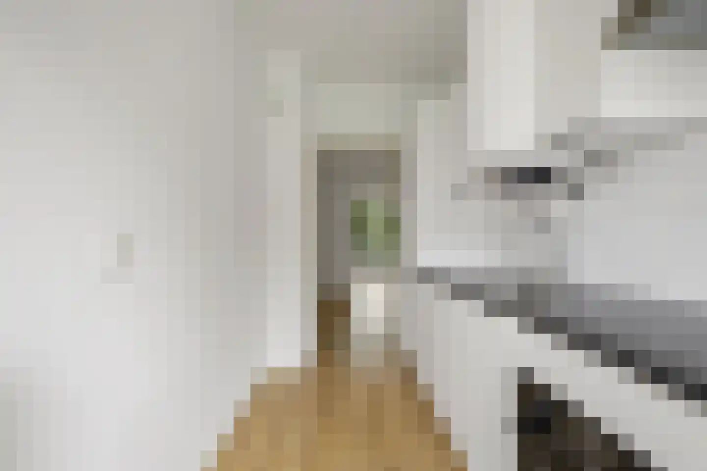 Saffierhorst 254 Den Haag thumbnail 8