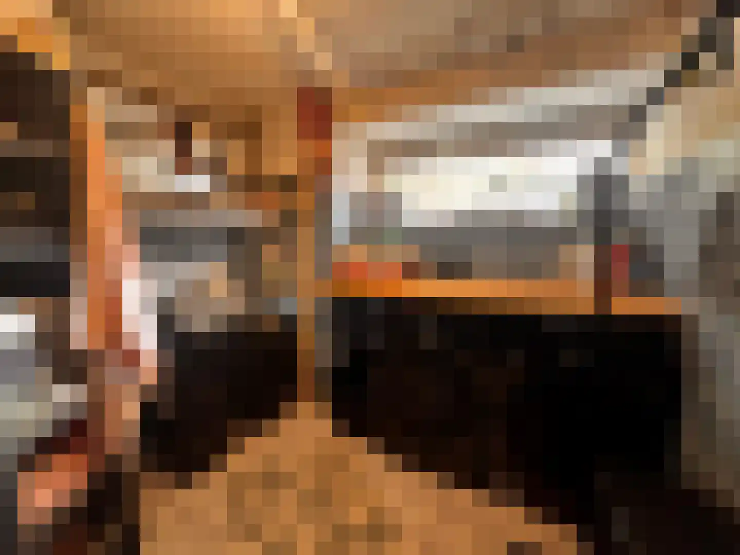 Saffierhorst 33 Den Haag thumbnail 18