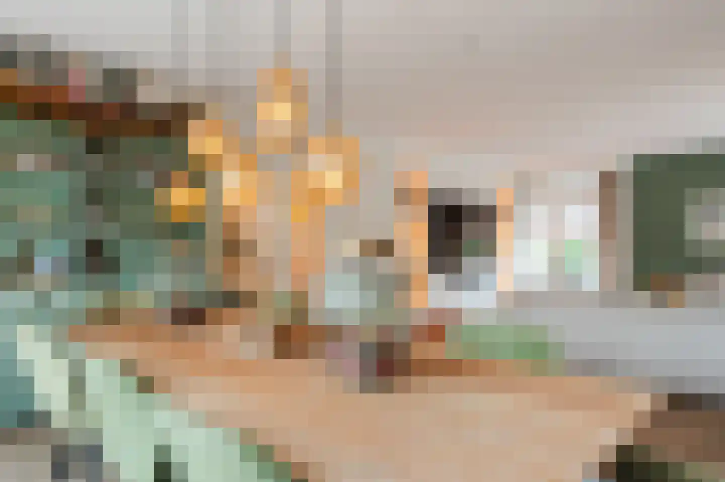 Saffierhorst 33 Den Haag thumbnail 22
