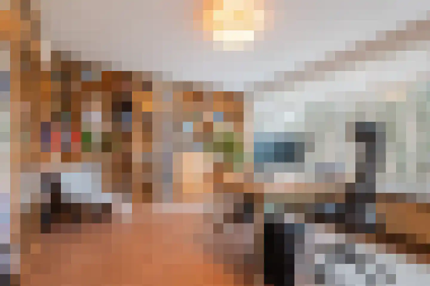 Saffierhorst 33 Den Haag thumbnail 38