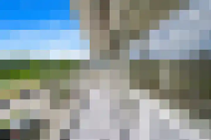 Saffierhorst 4 Den Haag thumbnail 12