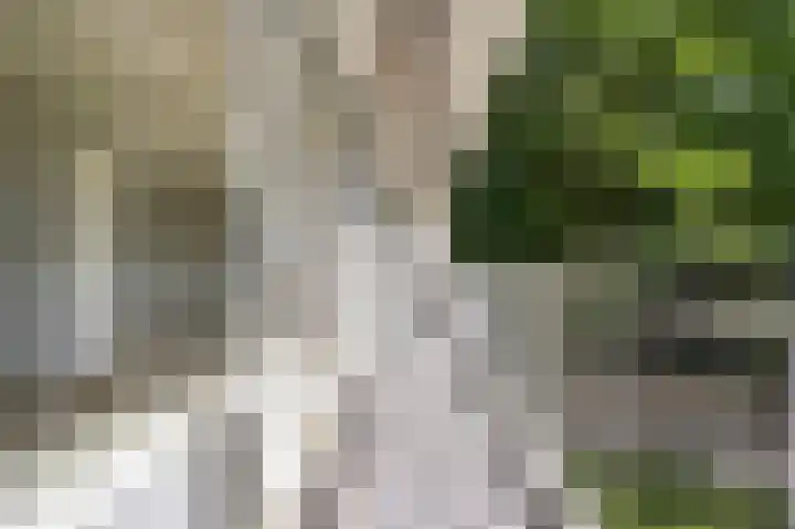 Saffierhorst 4 Den Haag thumbnail 13
