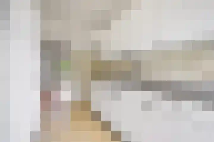 Saffierhorst 4 Den Haag thumbnail 19