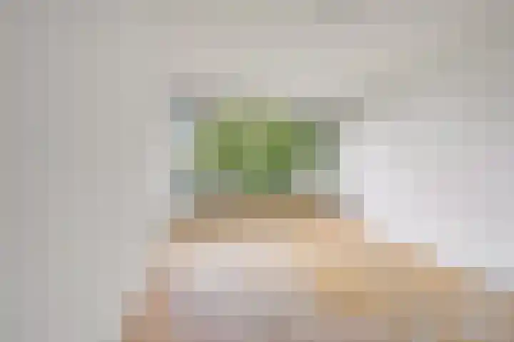 Saffierhorst 4 Den Haag thumbnail 26