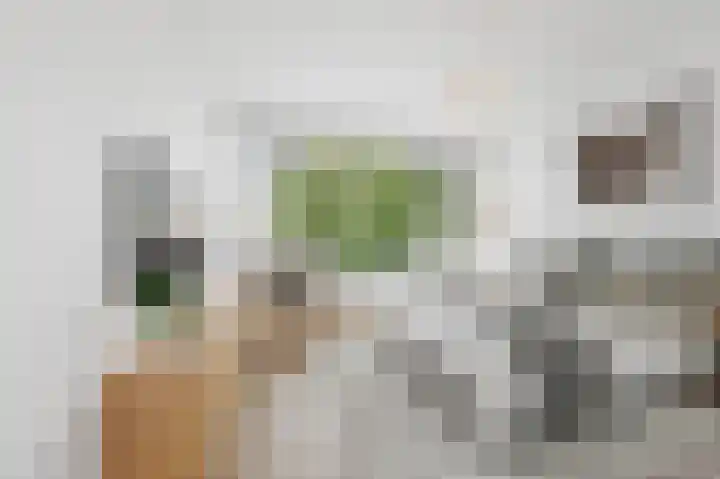 Saffierhorst 4 Den Haag thumbnail 27