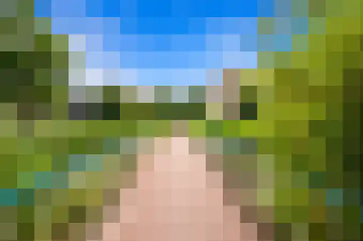 Saffierhorst 4 Den Haag thumbnail 31