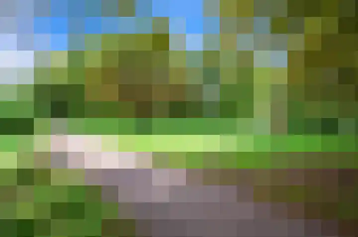 Saffierhorst 4 Den Haag thumbnail 32