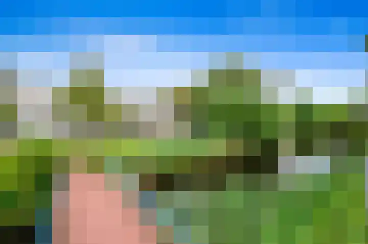 Saffierhorst 4 Den Haag thumbnail 34