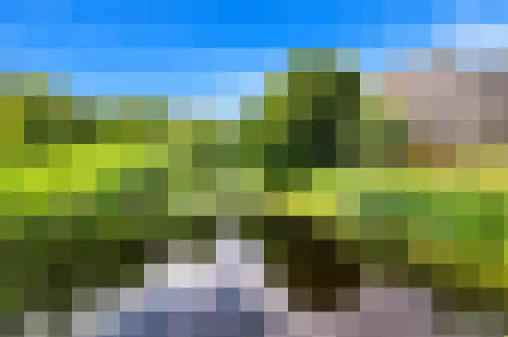 Saffierhorst 4 Den Haag thumbnail 36