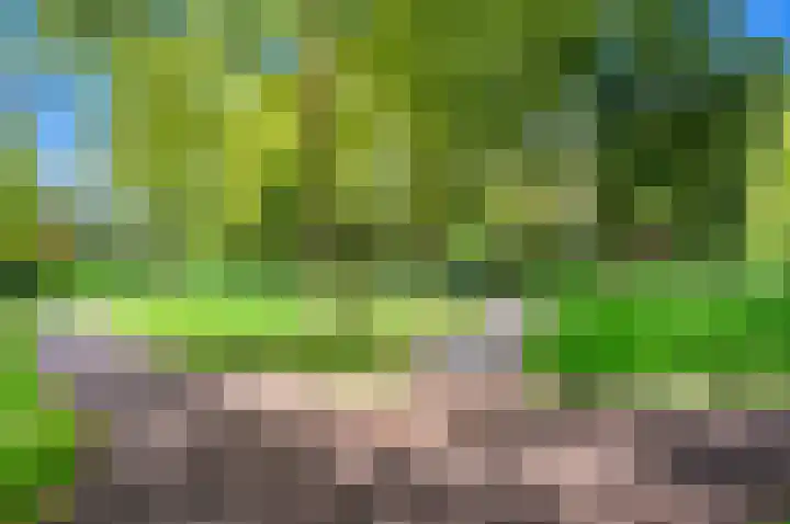 Saffierhorst 4 Den Haag thumbnail 37