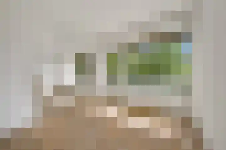 Saffierhorst 4 Den Haag thumbnail 8
