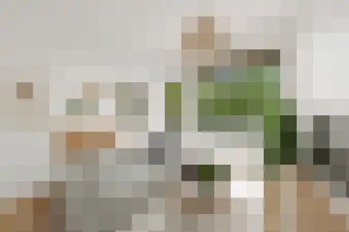 Saffierhorst 4 Den Haag thumbnail 9