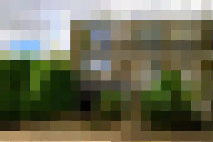 Saffierhorst 59 in Den Haag