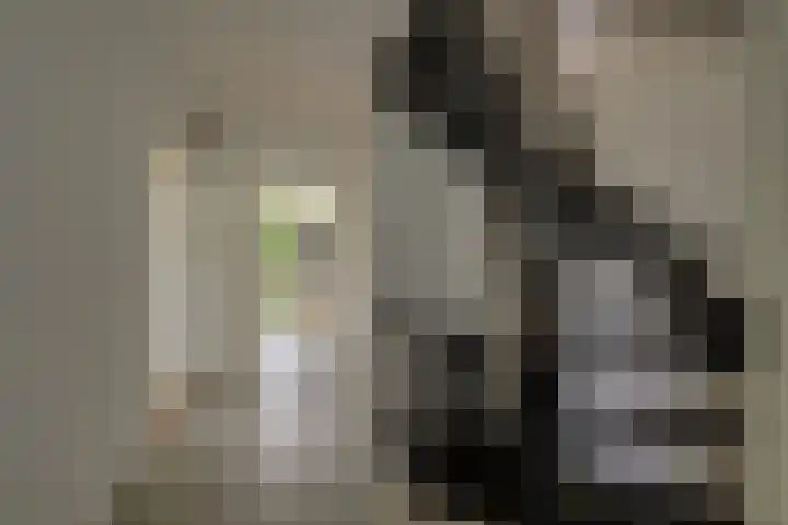 Saffierhorst 59 Den Haag thumbnail 8