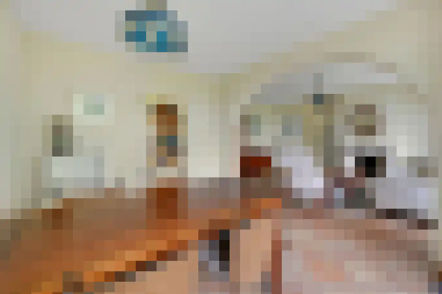 Saffierhorst 8 Den Haag thumbnail 18