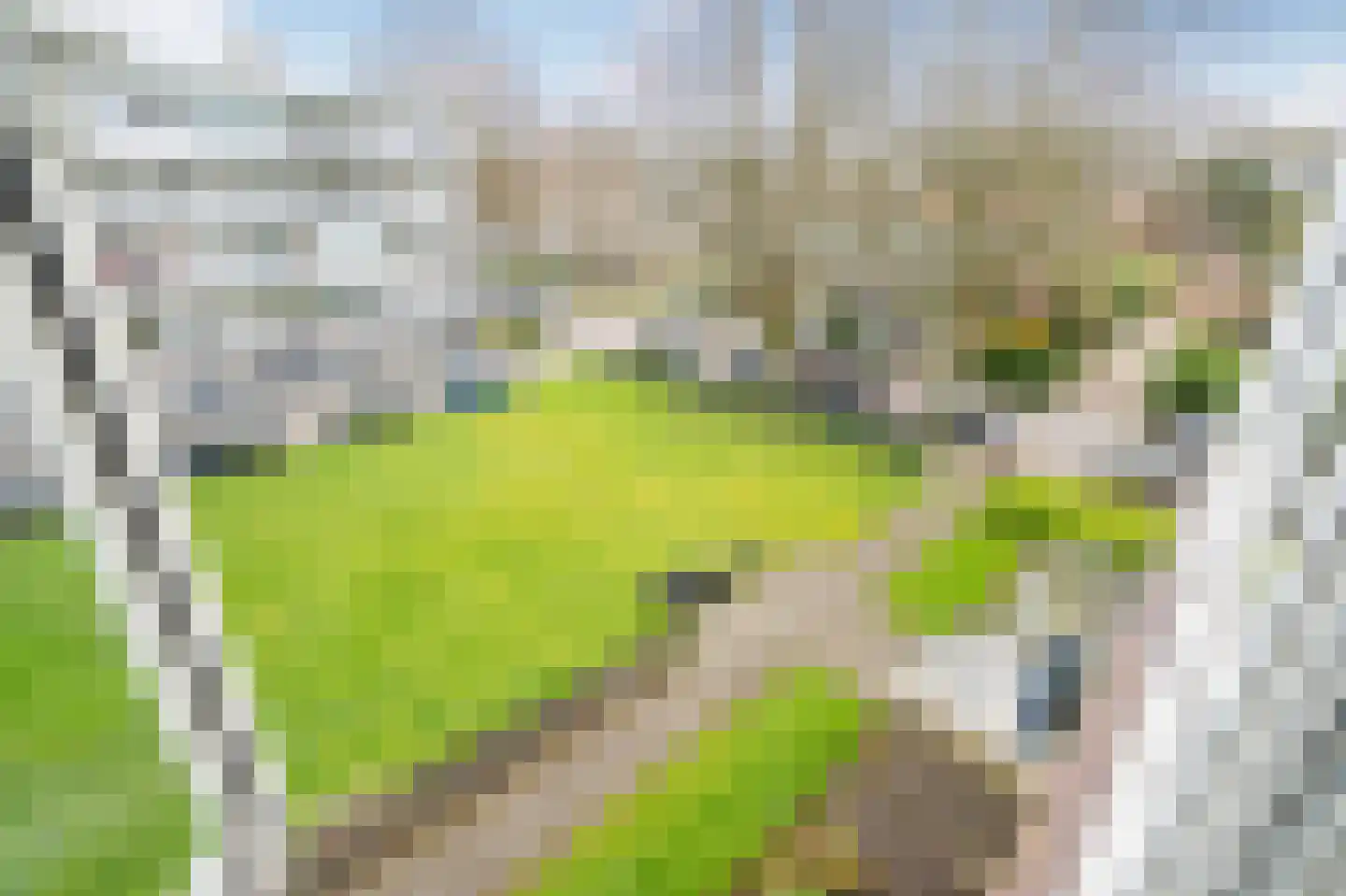 Saffierhorst 98 Den Haag thumbnail 21