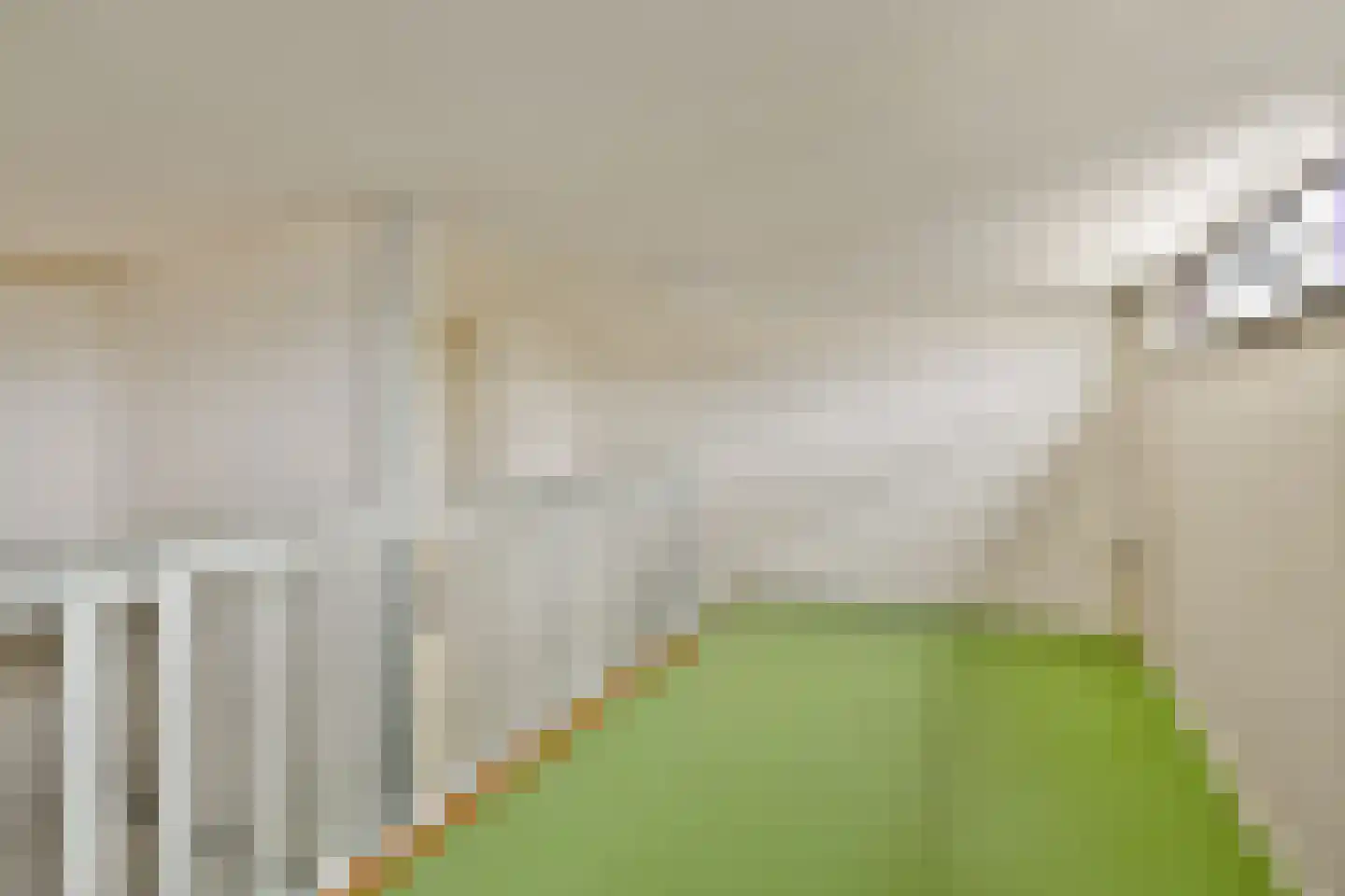 Saffierhoven 18 Rhoon thumbnail 20