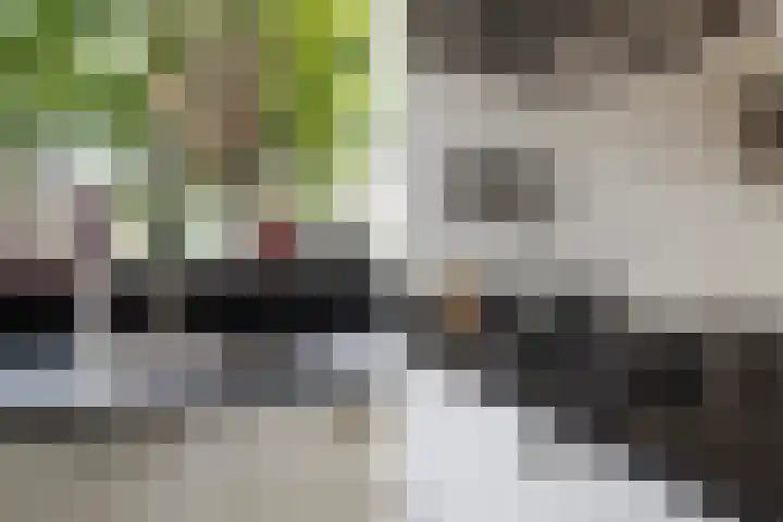 Saffierlaan 116 Rhoon thumbnail 14