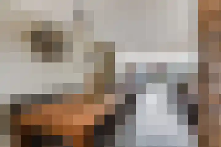 Saffierlaan 116 Rhoon thumbnail 16