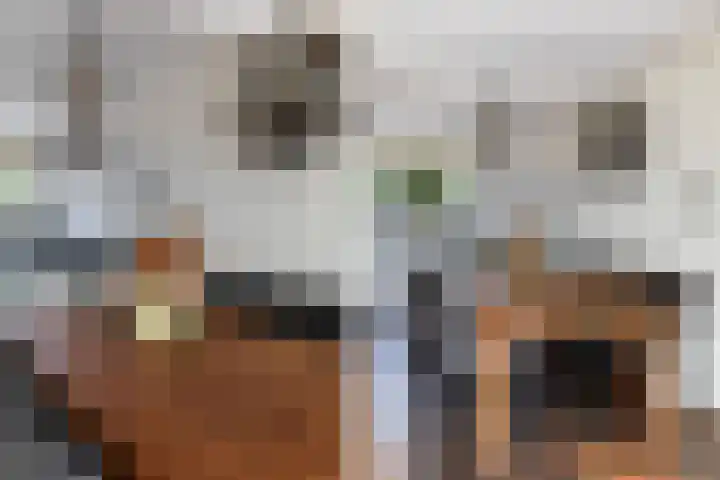 Saffierlaan 116 Rhoon thumbnail 17