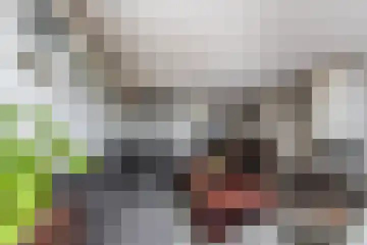 Saffierlaan 116 Rhoon thumbnail 23