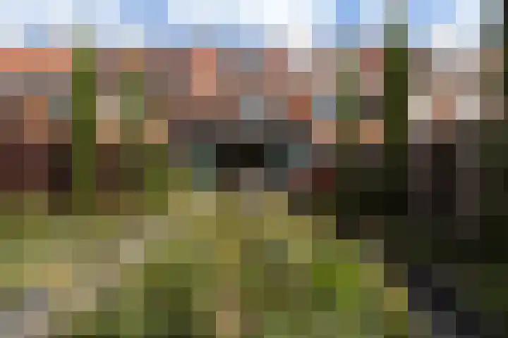 Saffierlaan 116 Rhoon thumbnail 26