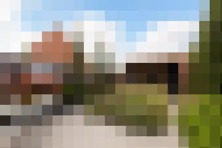 Saffierlaan 116 Rhoon thumbnail 28