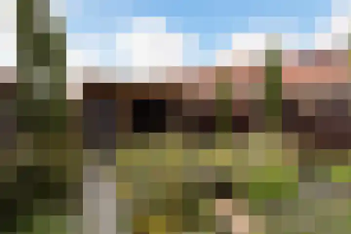 Saffierlaan 116 Rhoon thumbnail 30