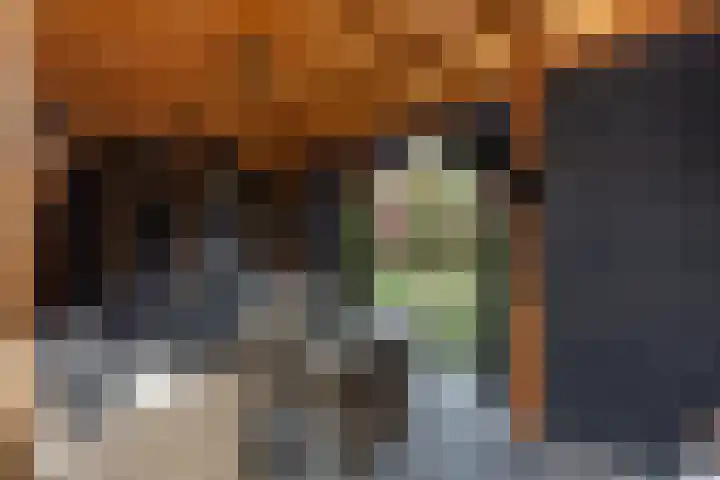 Saffierlaan 116 Rhoon thumbnail 32