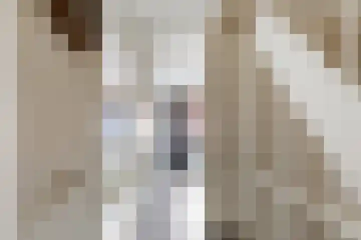 Saffierlaan 116 Rhoon thumbnail 34
