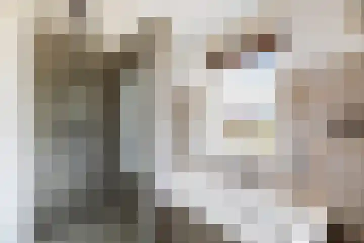 Saffierlaan 116 Rhoon thumbnail 44