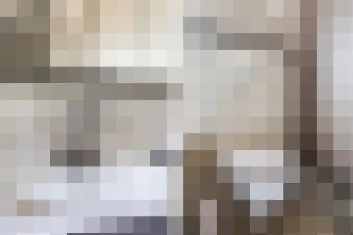 Saffierlaan 116 Rhoon thumbnail 45