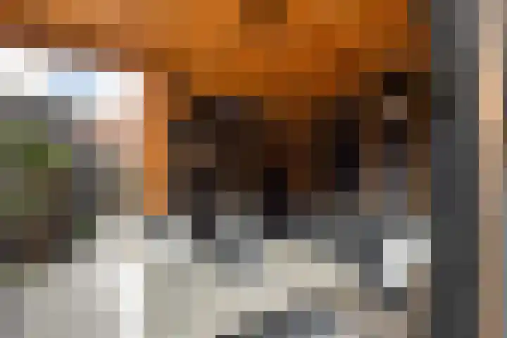 Saffierlaan 116 Rhoon thumbnail 5