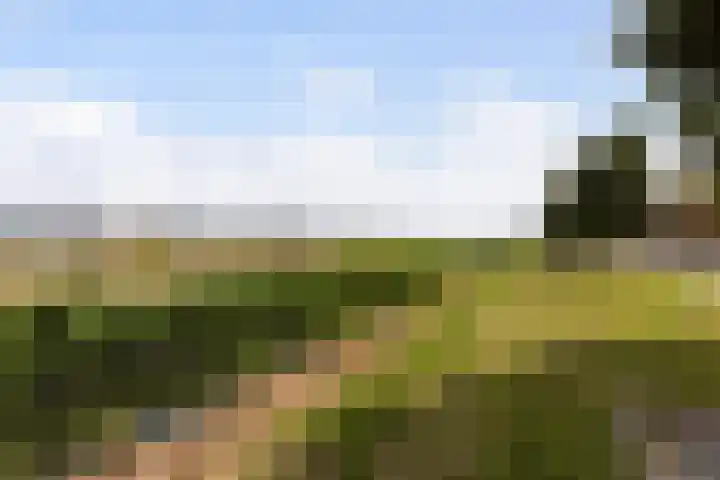Saffierlaan 116 Rhoon thumbnail 56