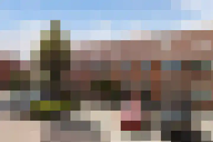 Saffierlaan 116 Rhoon thumbnail 7