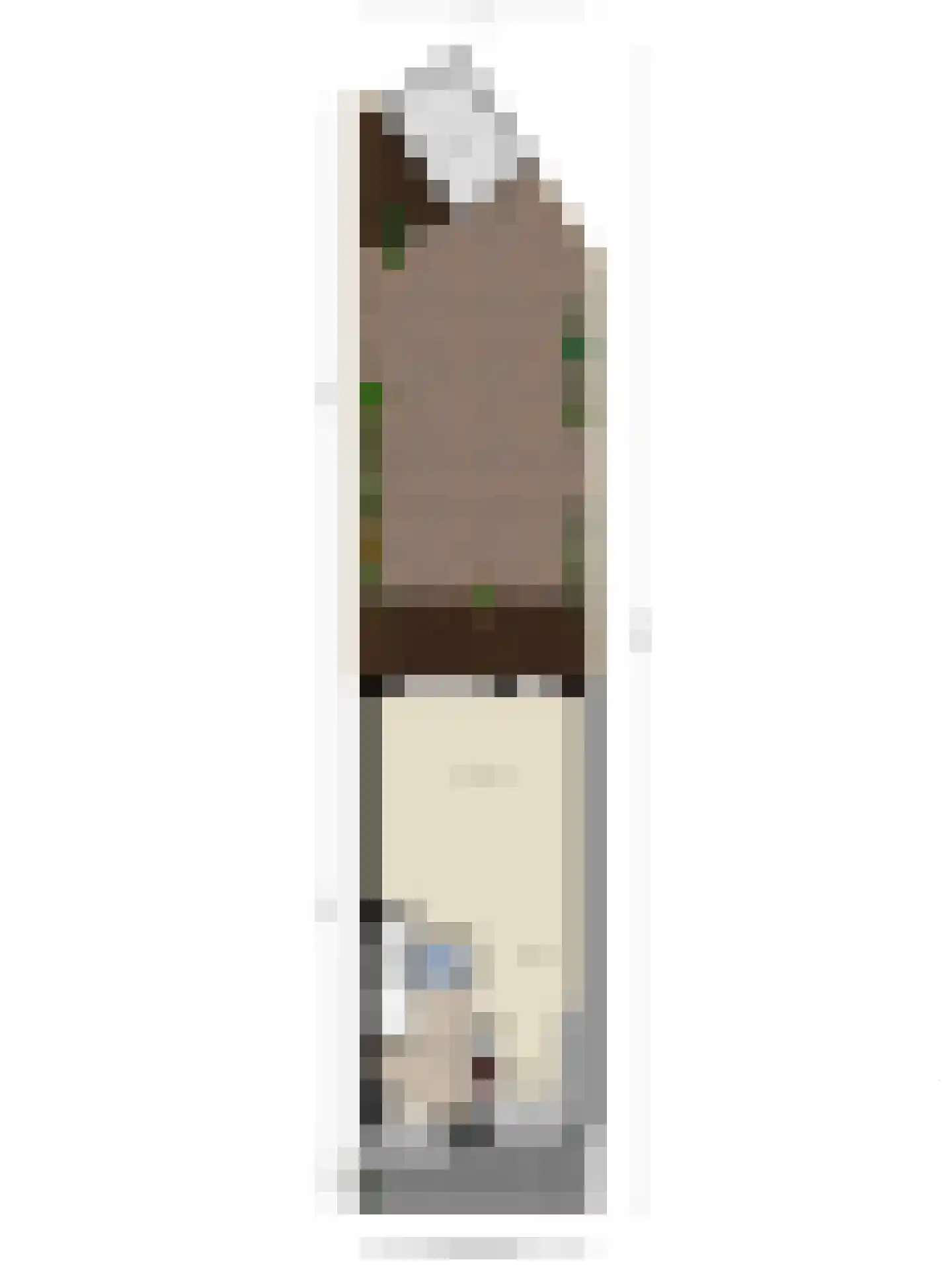 Saffierlaan 118 Rhoon thumbnail 36