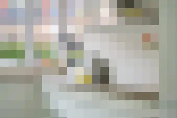 Saffierlaan 17 Rhoon thumbnail 27