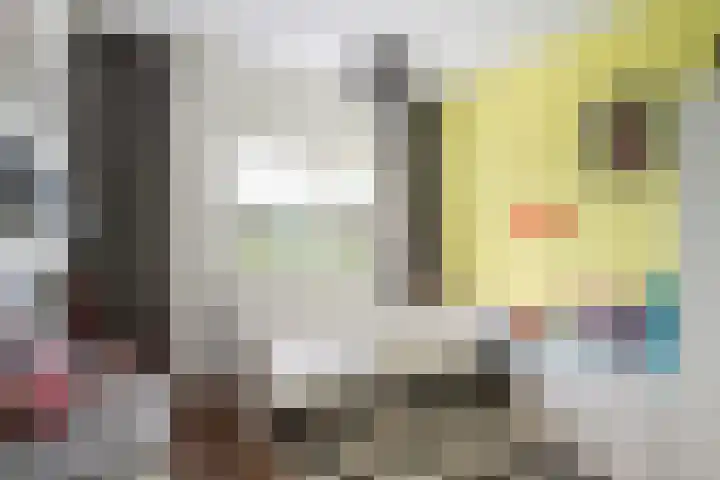 Saffierlaan 17 Rhoon thumbnail 33