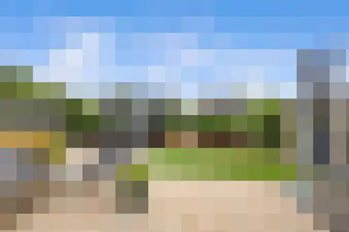 Saffierlaan 17 Rhoon thumbnail 54