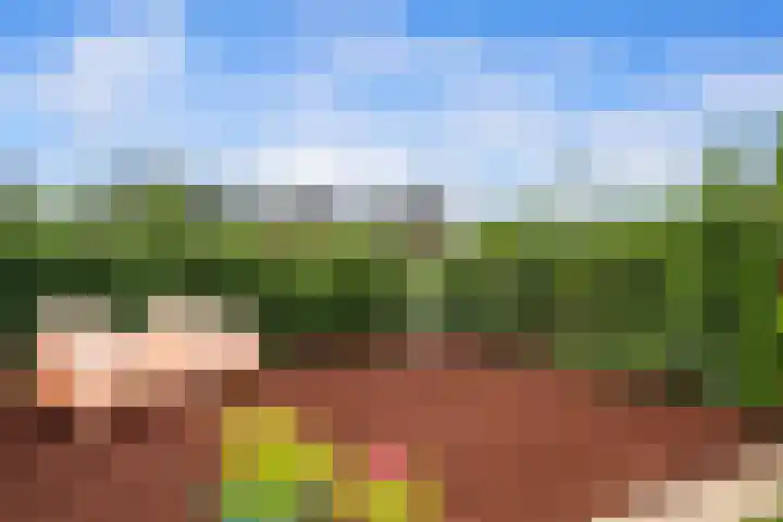 Saffierlaan 17 Rhoon thumbnail 55